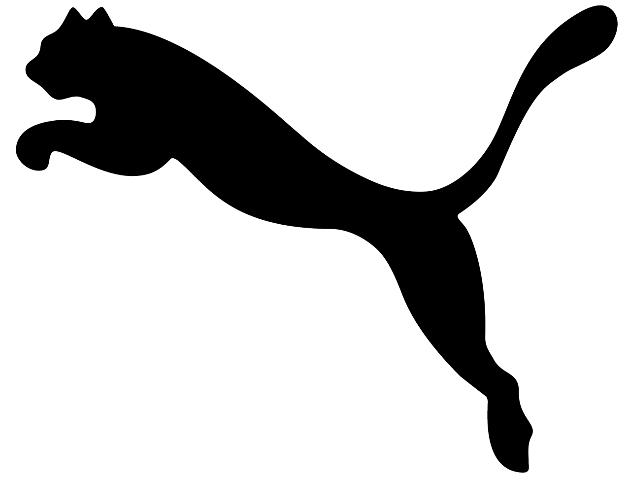 Puma