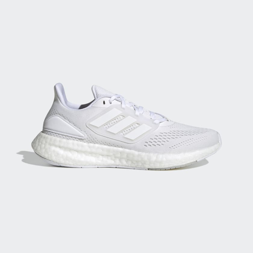 Pureboost 22 W