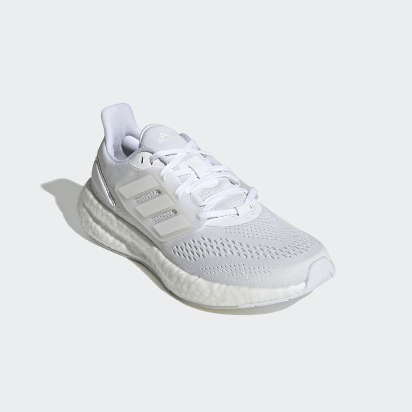 Pureboost 22 W