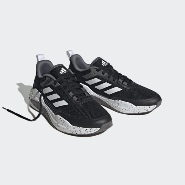 Trainer V
