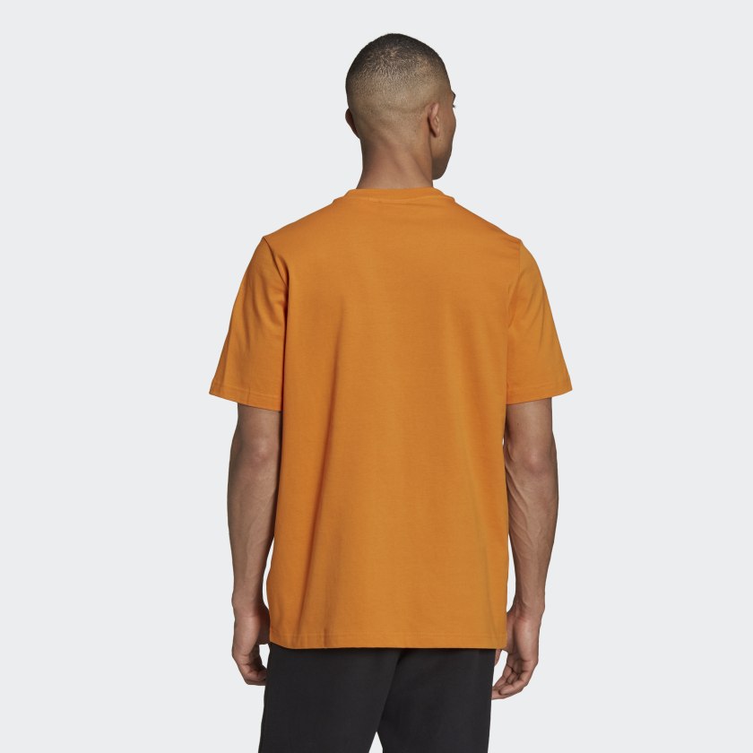 Ts Tee Q4