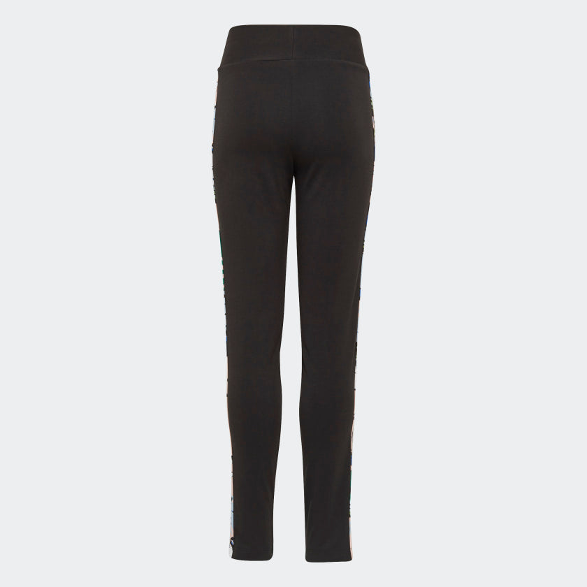 Leggings Hw
