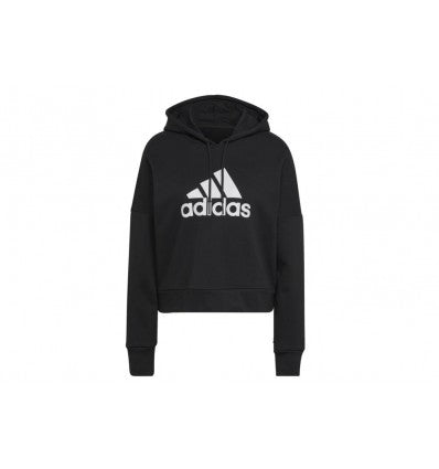 W Fi Bos Hoodie