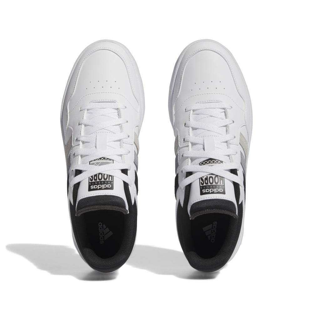Hoops 3.0