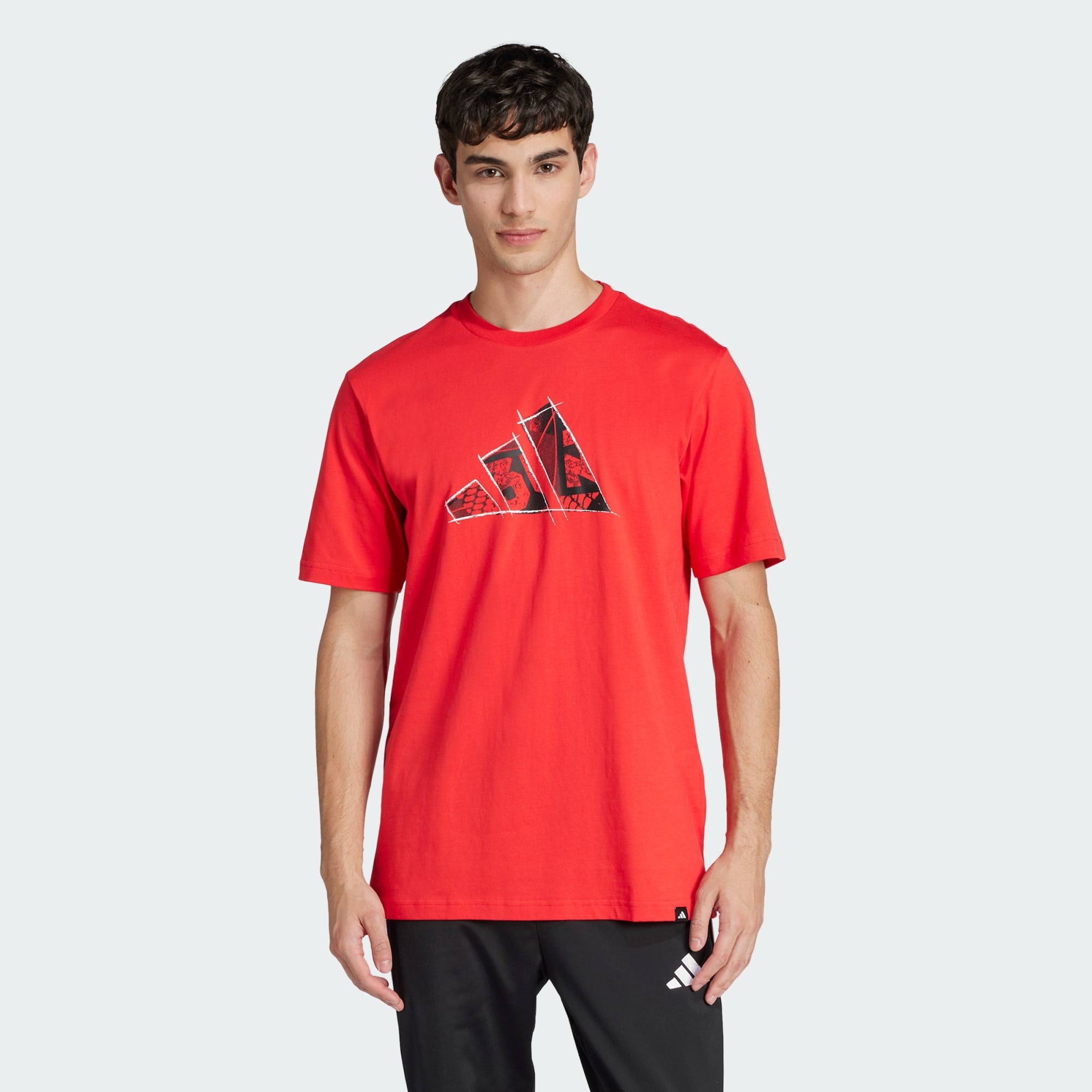 M Photo Logo T