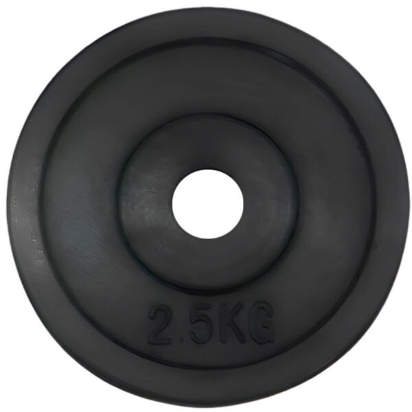 2.5 Kg Black Rubber Plate, 20 Mm Hole