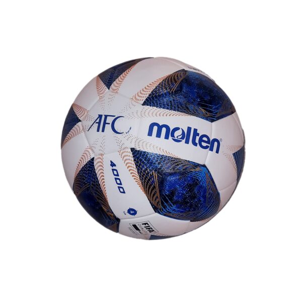 Moltenball For Gyms